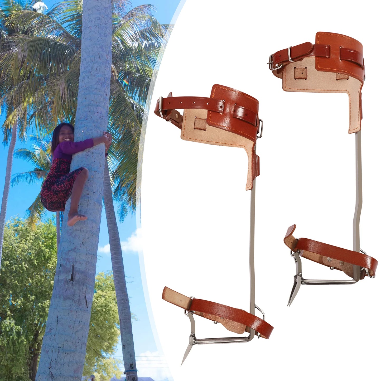 Climbing Pitons Tree Climbing Gear Kit W/ Safety Harness Rope Gloves Stainless Steel Double Claw Ascending Tools for Outdoor