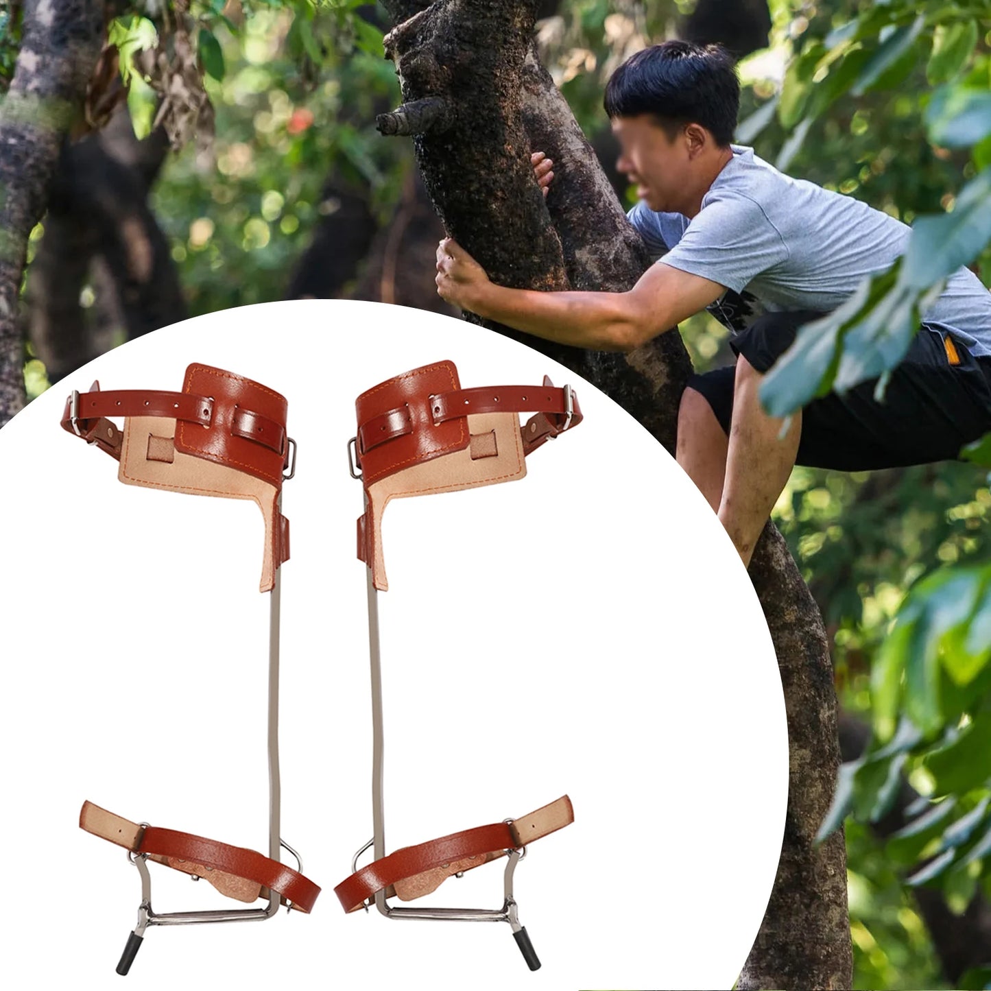 Climbing Pitons Tree Climbing Gear Kit W/ Safety Harness Rope Gloves Stainless Steel Double Claw Ascending Tools for Outdoor