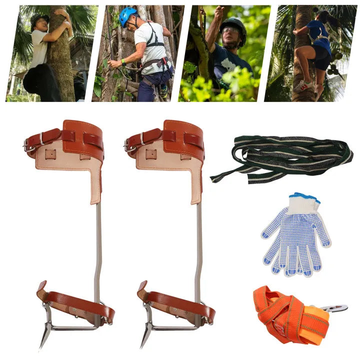 Climbing Pitons Tree Climbing Gear Kit W/ Safety Harness Rope Gloves Stainless Steel Double Claw Ascending Tools for Outdoor