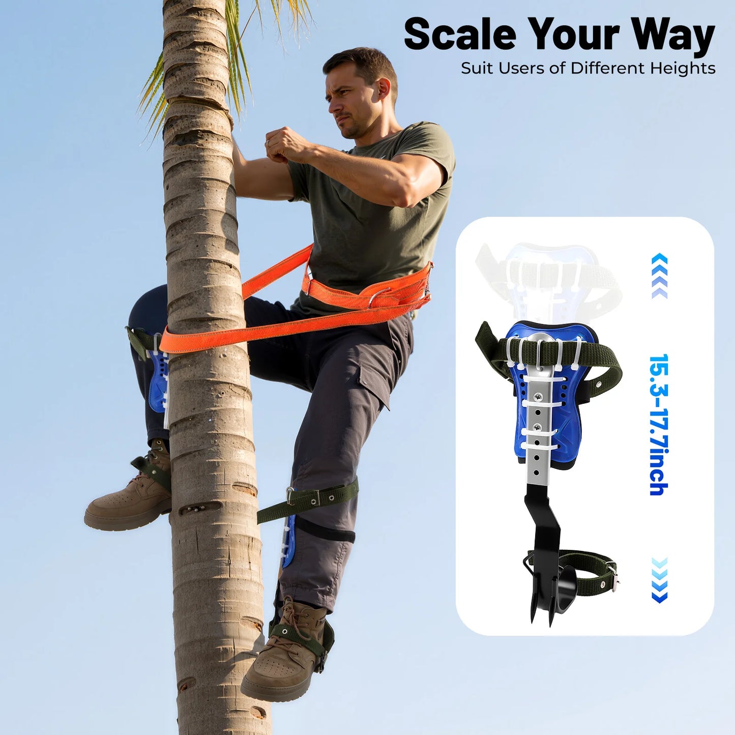 NEWEST Tree Climbing Spike Set - Adjustable Tree Climbing Gear with Spike Tool - Bearing Capacity up to 150 kg/ 330.69 lbs
