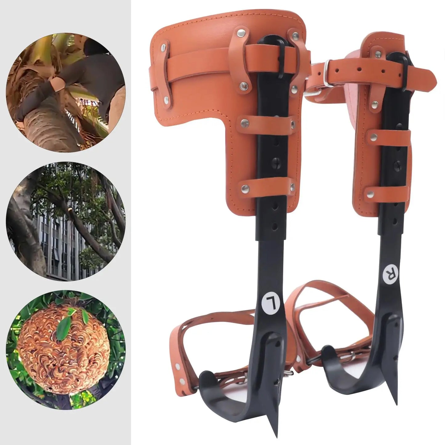 Tree Climbing Spike Set， Pole Climbing Spurs Steel， Adjustable Climber Gaffs Spikes Set Height Adjustable ,Tree Climbing Gear