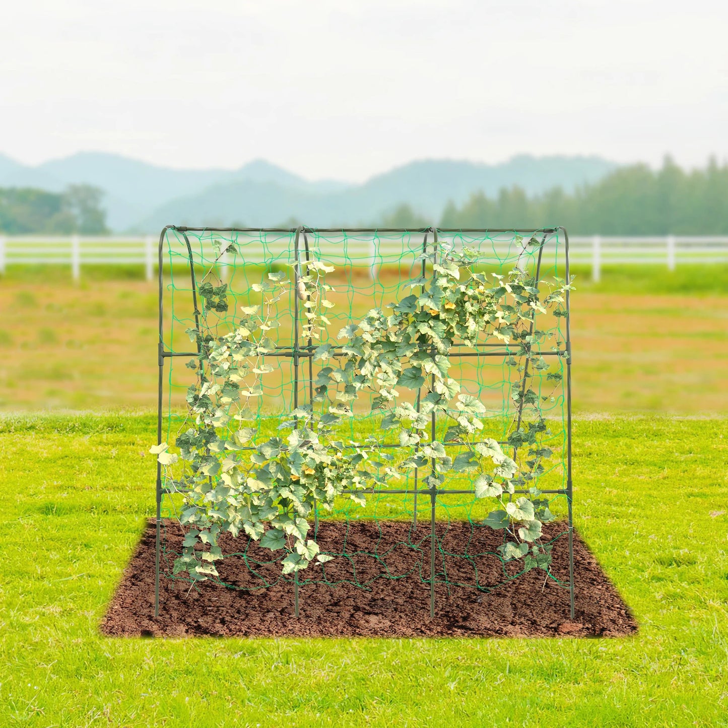 Garden Arch Tunnel Trellis Steel Arch Trellis for Climbing Plants Outdoor Cucumber Rose Trellis 160x160cm/120x120cm