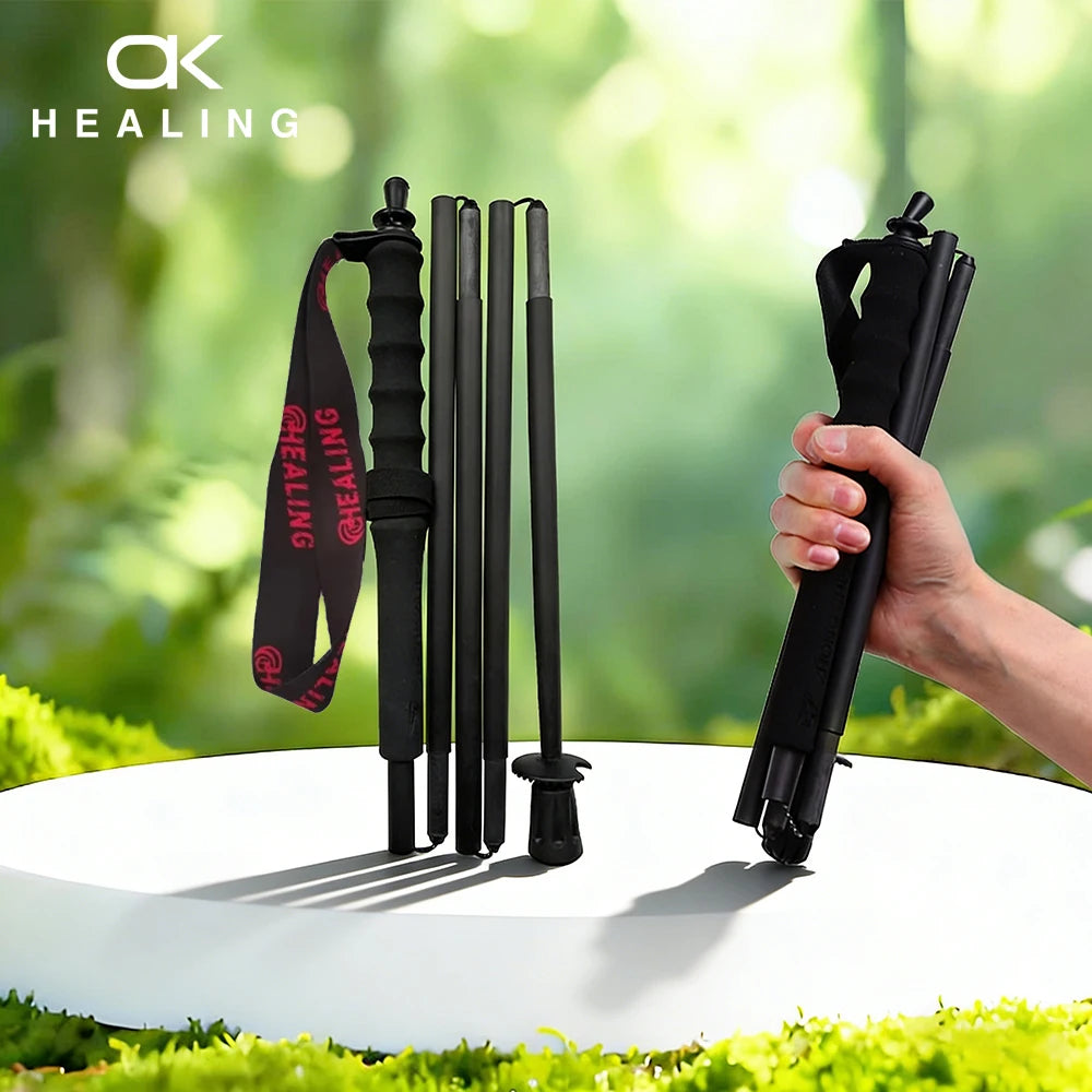 Local+ 2PCs Carbon Fiber Foldable 5-Sections Ultra-Light 110g Trekking Poles Walking Cane, 110/120/130cm Fixed Length Hiking Sticks for Outdoor Camping, City Running, Travel, Men Women Lightweight Portable Gear Caron Fiber Bl