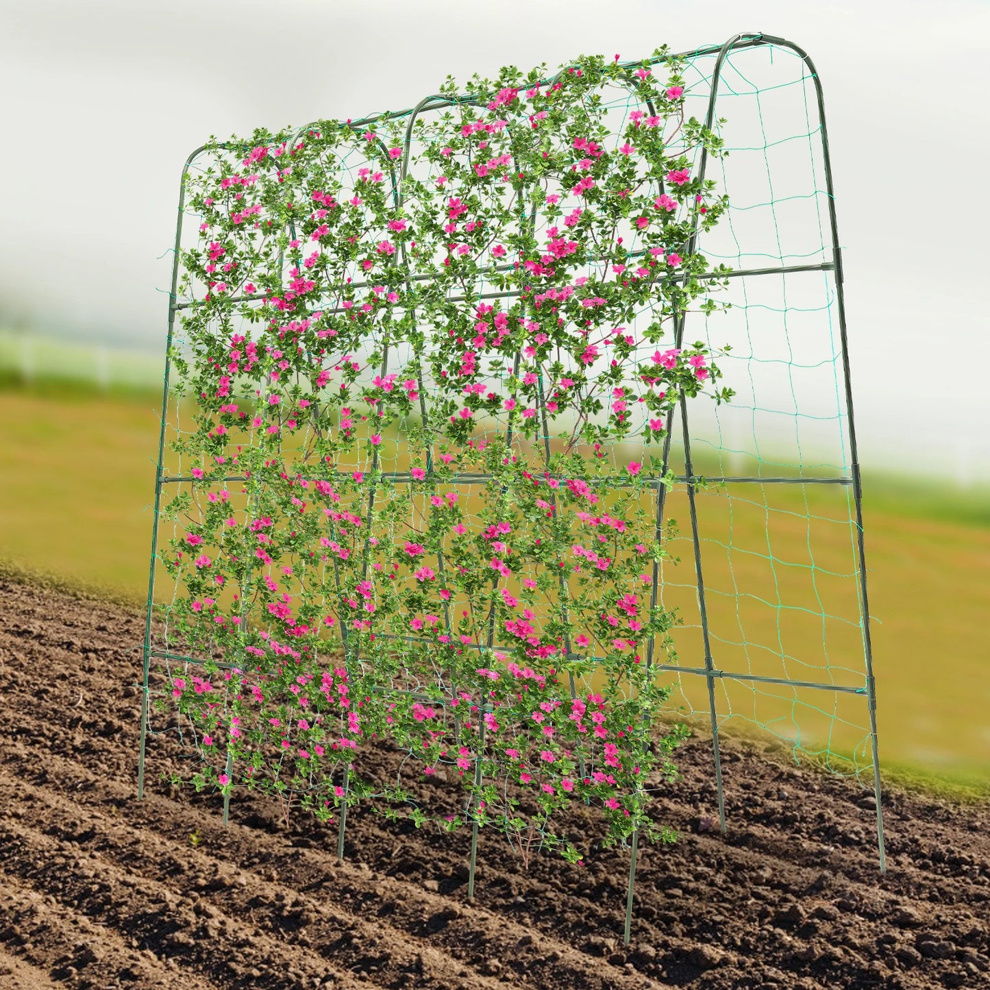 Garden Arch Tunnel Trellis Steel Arch Trellis for Climbing Plants Outdoor Cucumber Rose Trellis 160x160cm/120x120cm