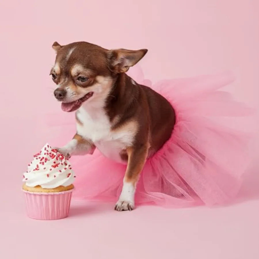 Dog Tutu, Tutu for Dogs, Dog Tutus for Small Dogs, for Small Medium-Sized Pets, Cute DogCostume Skirt Dresses Puppy Outfits for