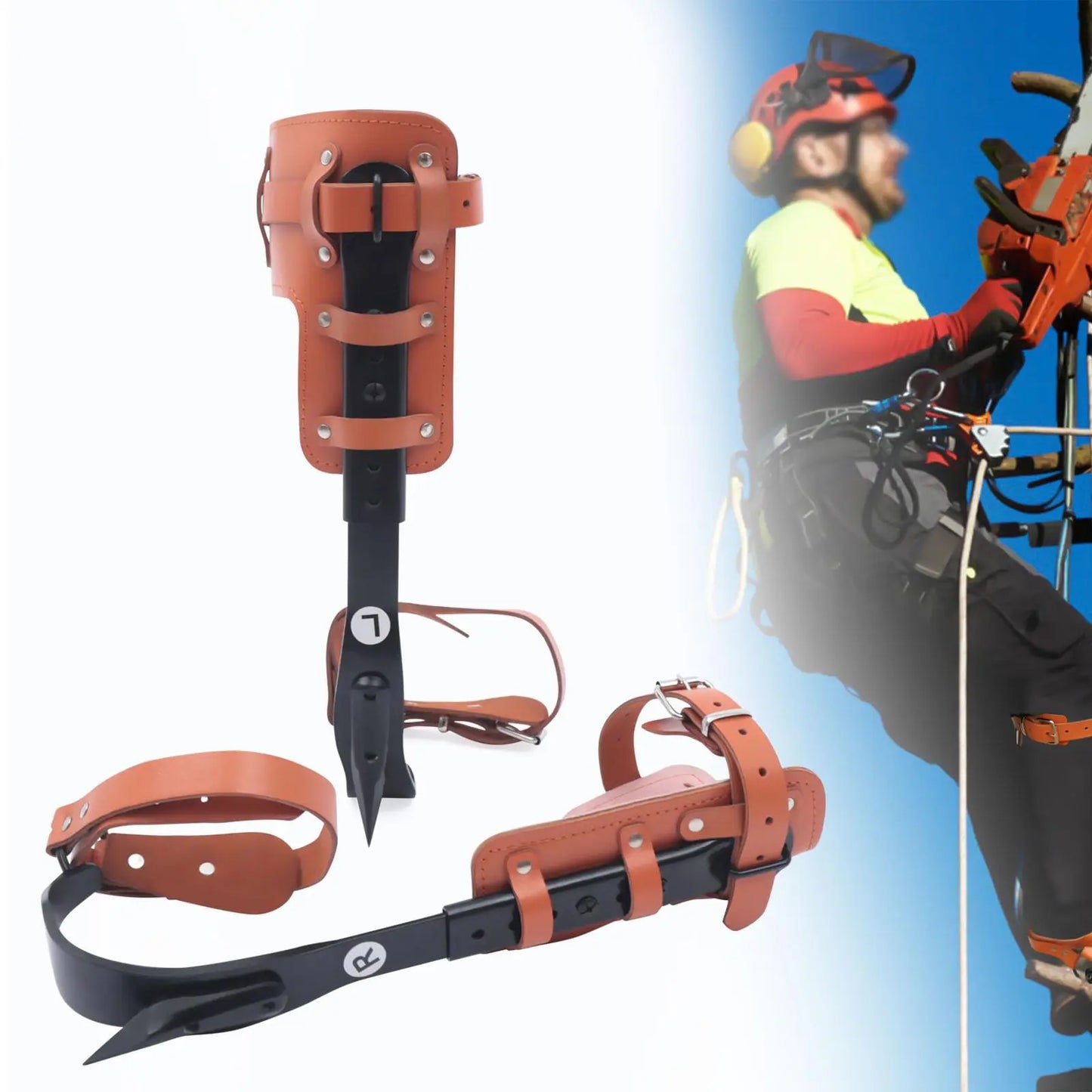 Tree Climbing Spike Set， Pole Climbing Spurs Steel， Adjustable Climber Gaffs Spikes Set Height Adjustable ,Tree Climbing Gear