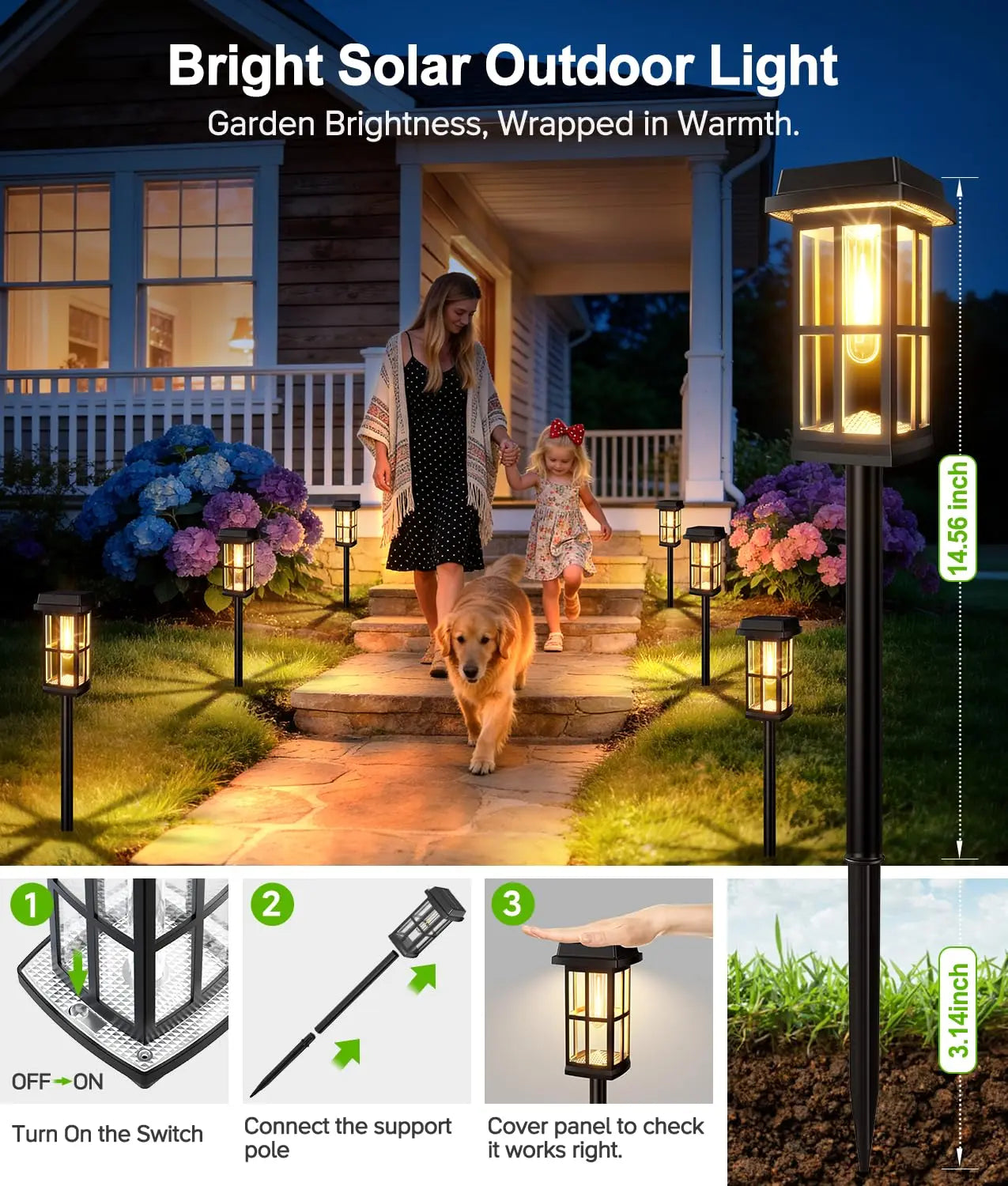 Solar Powered Pathway Lights 8 Pack IP65 Waterproof Auto On Off Outdoor Landscape Lighting Decorative Solar Garden Lamps for Patio Lawn Walkway Driveway Yard
